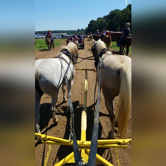 Hey y'all ππ - Picture 9 of 12